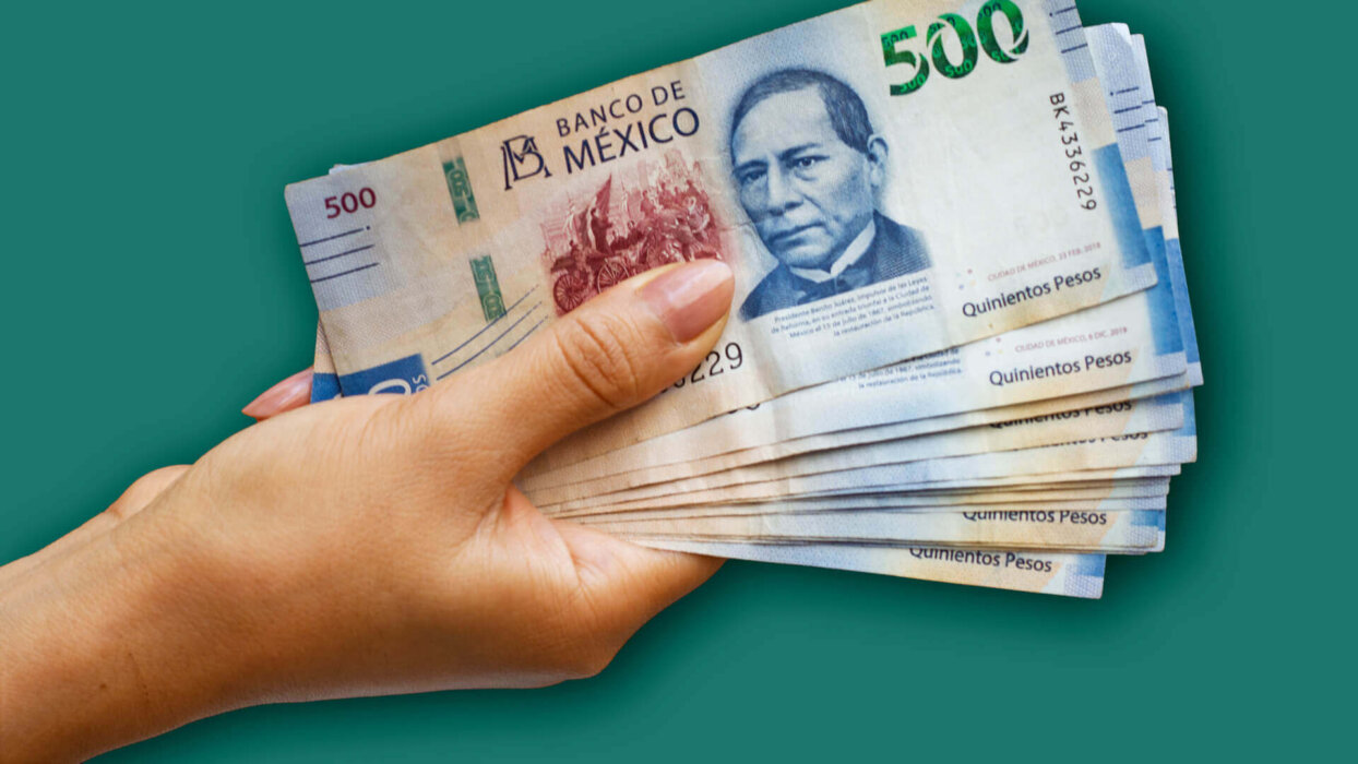 Invierte tus utilidades en zimalta e1757959574505