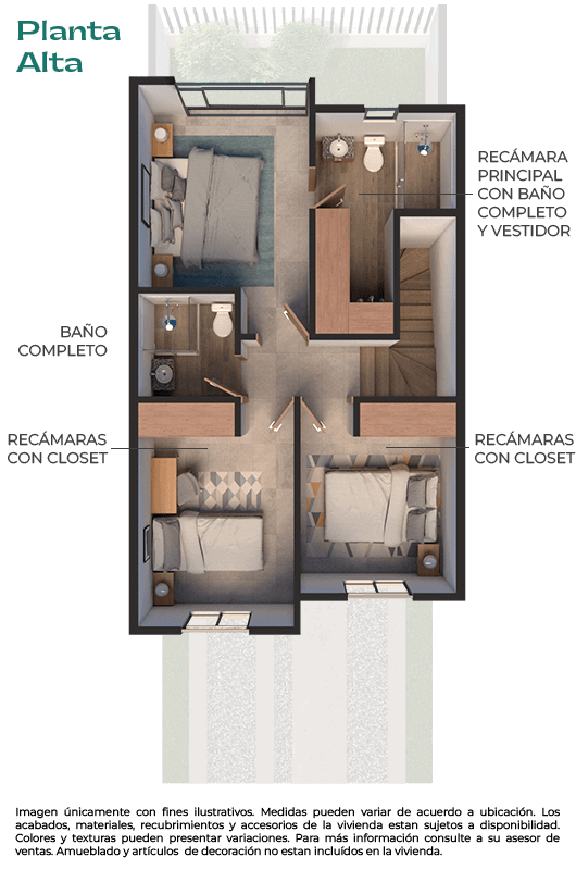 Bonette - Planta alta